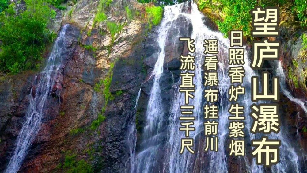 救援男孩贝利