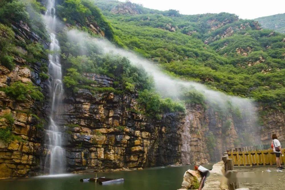 谁知道这是什么树？游戏画面