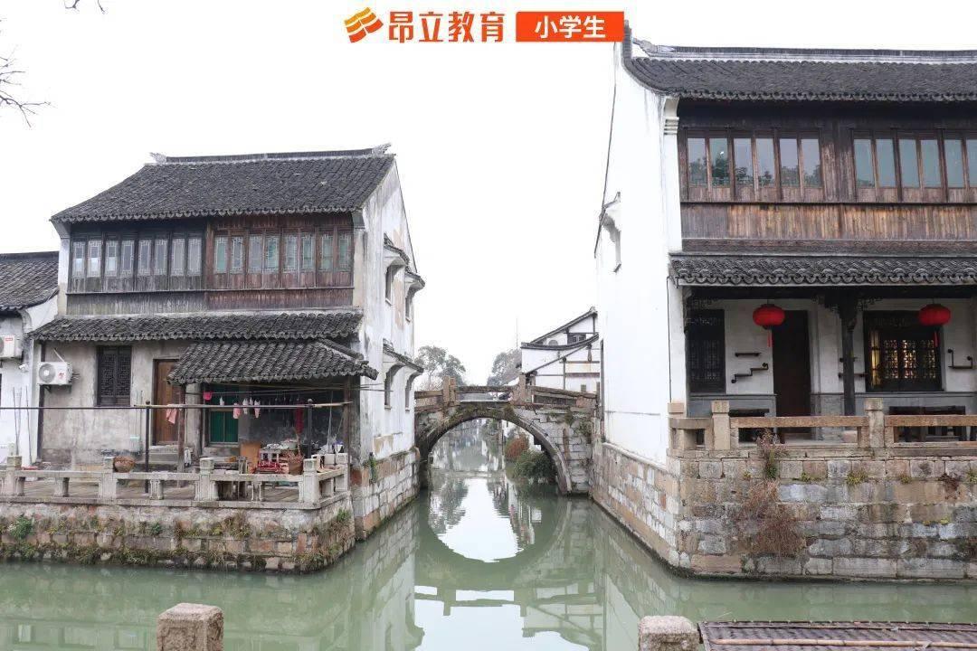 豆娃勇士
